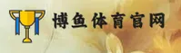 使用指南与常见问题